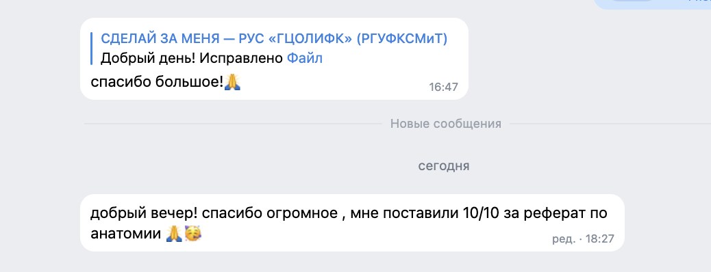 Отзыв: 10 из 10 за реферат по анатомии